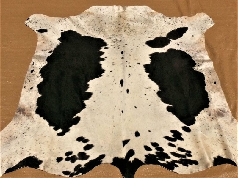 Nguini  BLW-26 SOLD!