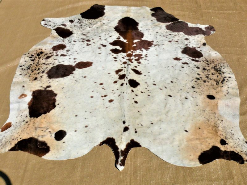 Nguni - BRW-33 SOLD!