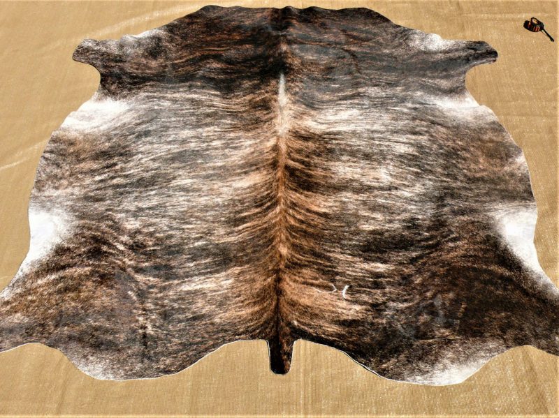 Nguni - BRND -11 SOLD!