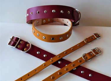 Ruby and mustard dog collars with or without studs (from R90)