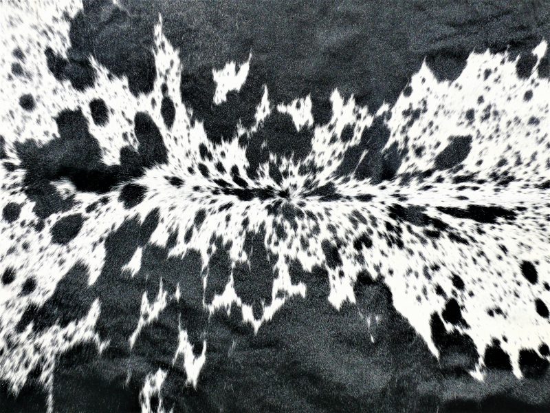 Nguni - BlW 36 (b) Close-up SOLD!