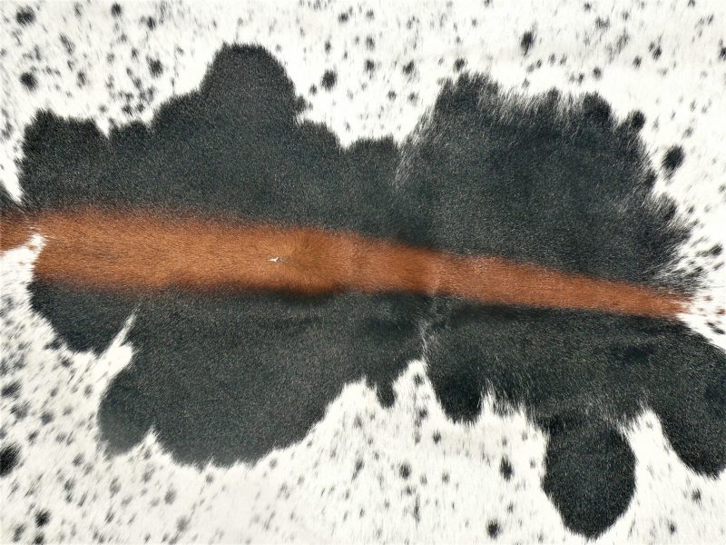 Nguni - BlBrW 37 (b) Close-up SOLD!