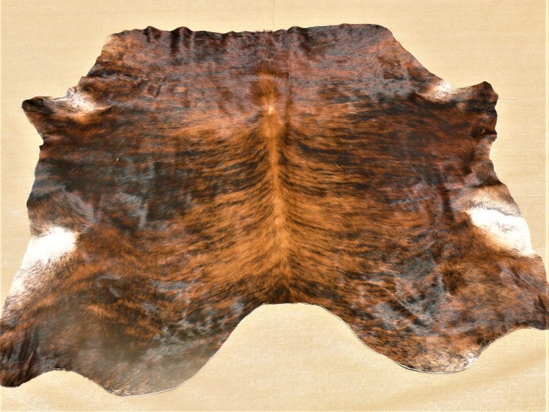 Nguni - Brnd 17 (a) 162x160 (R3 000)